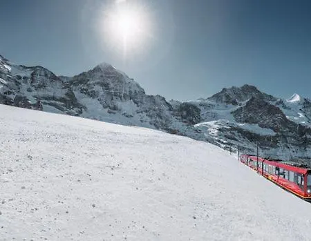 Luxury Penthouse With Mountain View Terrace Apartment Interlaken